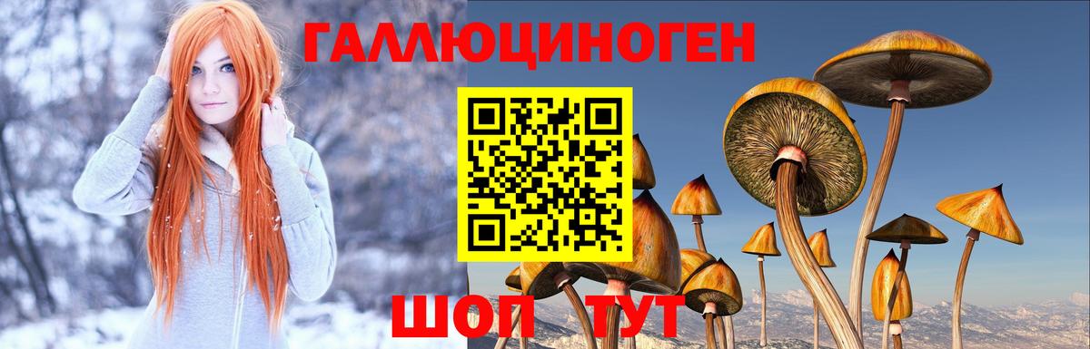 Галлюциногенные грибы мицелий  Вход с VPN  Великий Устюг 